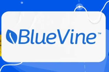 BlueVine Loans