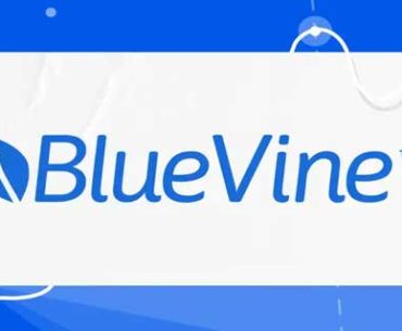 BlueVine Loans