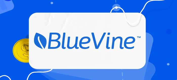 BlueVine Loans