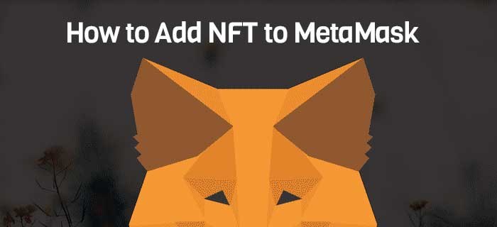 How to Add NFT to MetaMask