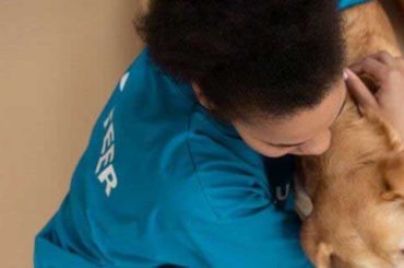 What Do Vets Do If You Can’t Pay