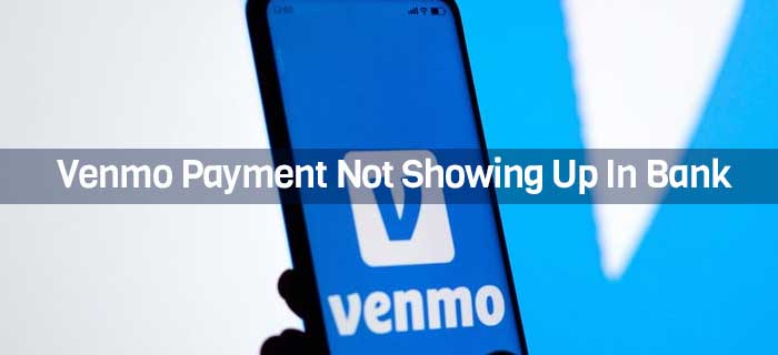 Venmo Payment Not Showing Up In Bank